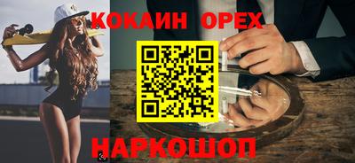 гидра Гатчина