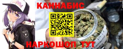 гидра Гатчина
