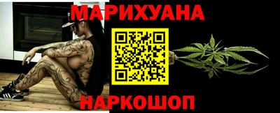 гидра Гатчина