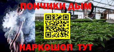 гидра Гатчина