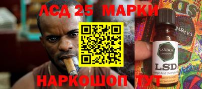 гидра Гатчина
