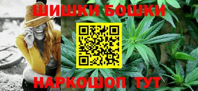 дмт Гай