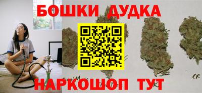 гидра Гатчина