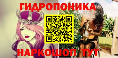 гидра Гатчина