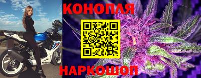 дмт Гай