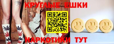 гидра Гатчина