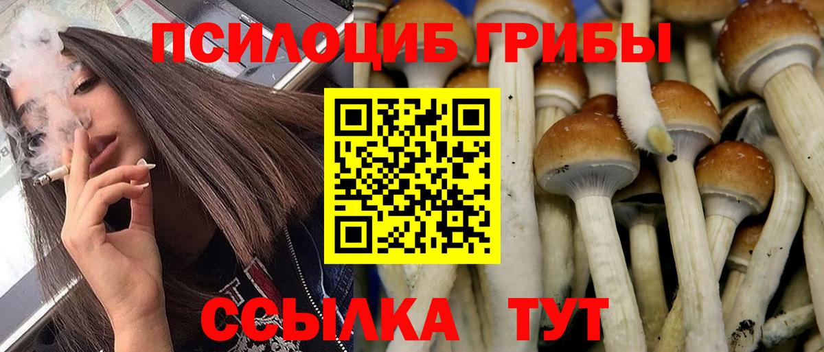 Псилоцибиновые грибы MAGIC MUSHROOMS Орёл
