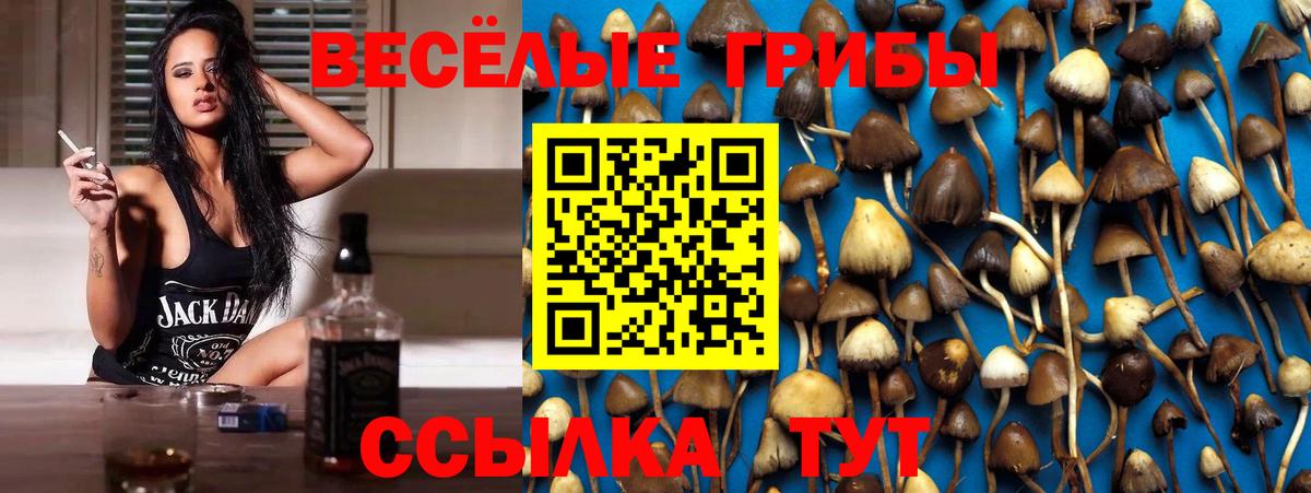Галлюциногенные грибы MAGIC MUSHROOMS  купить наркотик  Орёл  Вход с VPN 